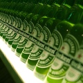 Heinekens