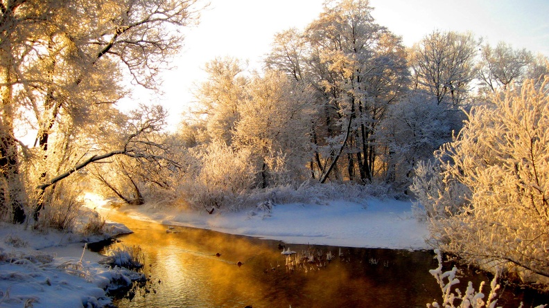 River-Frost-Forest.jpg