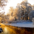 River-Frost-Forest
