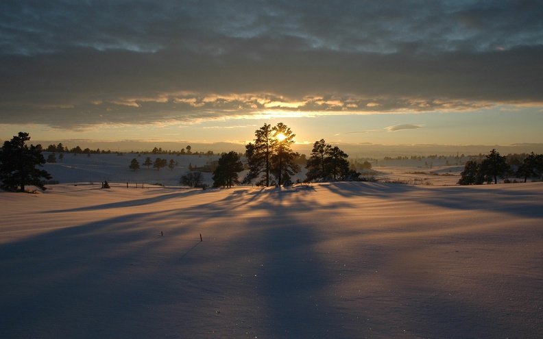 Snow-Trees-Sunset.jpg