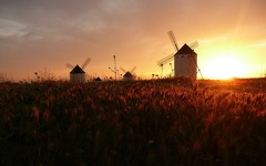 Windmills-Sunset