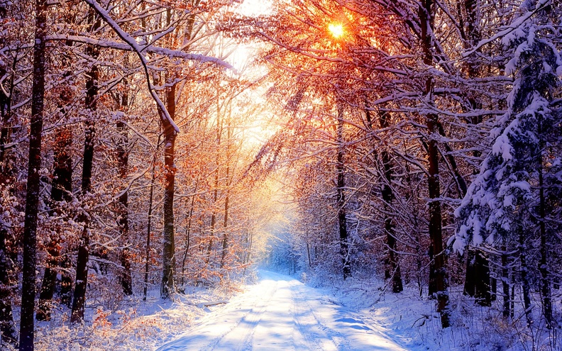 Winter-Beauty.jpg