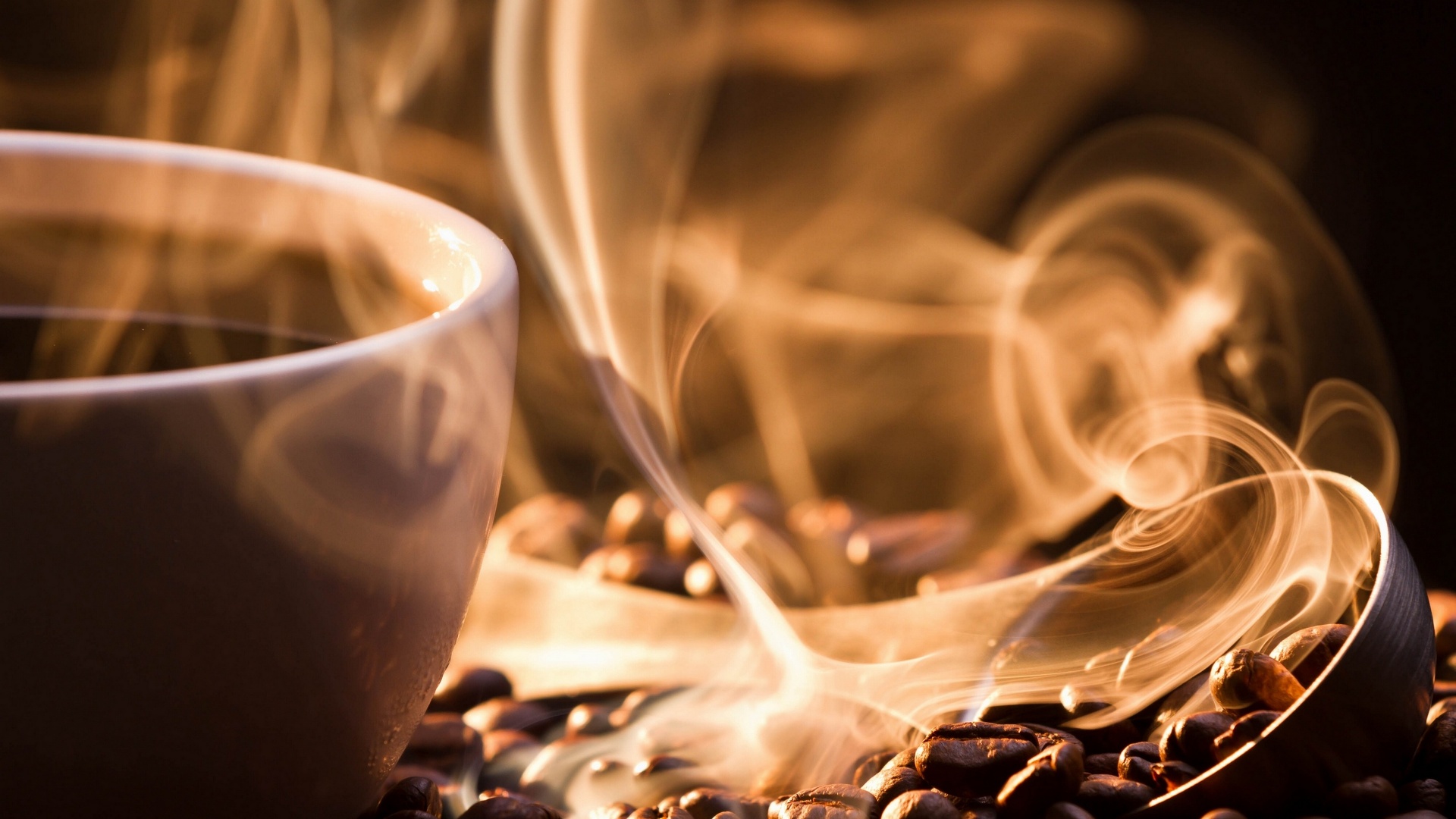 coffee beans flavor cup 3200x1984