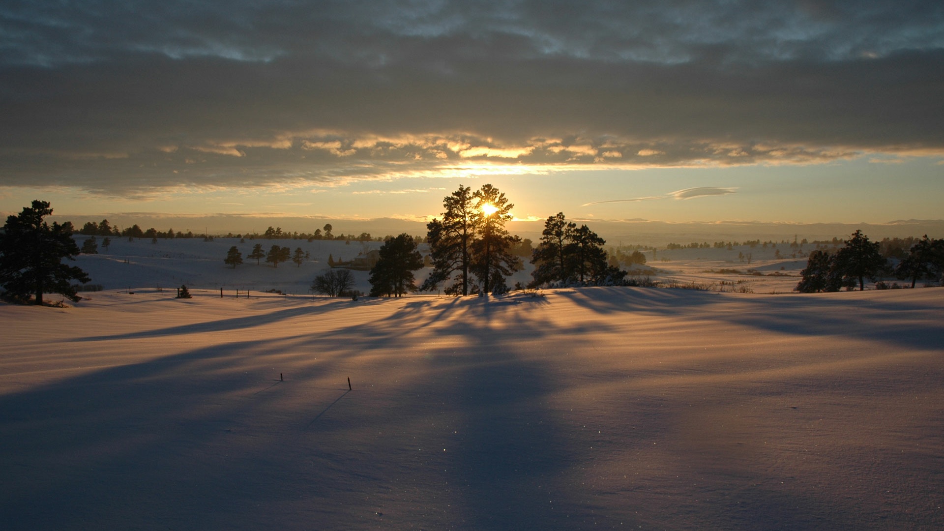 Snow-Trees-Sunset
